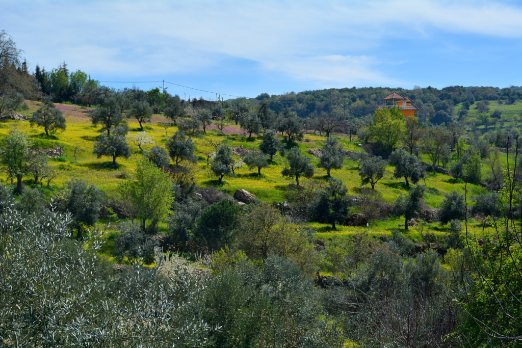 Ajloun